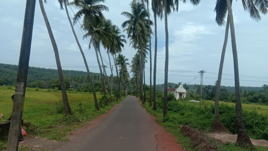 south goa.