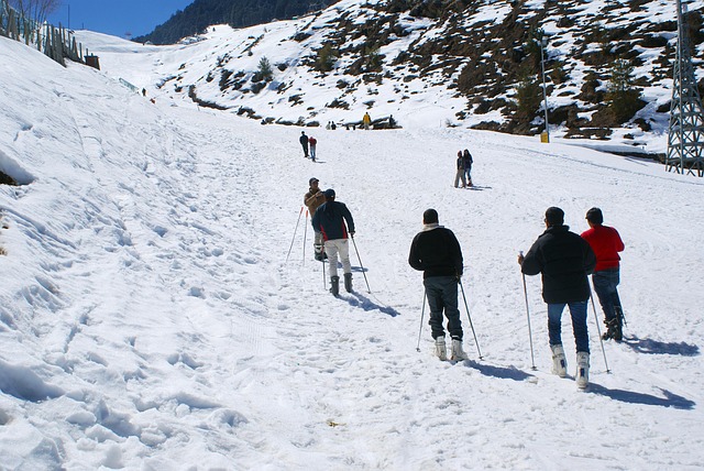 men travel in auli